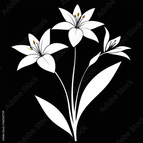 zephyranthes robusta vector silhouette-on-white-