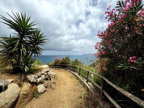 Wallpaper Mural seascape, Italy, Calabria, road to the sea among blooming oleanders Torontodigital.ca
