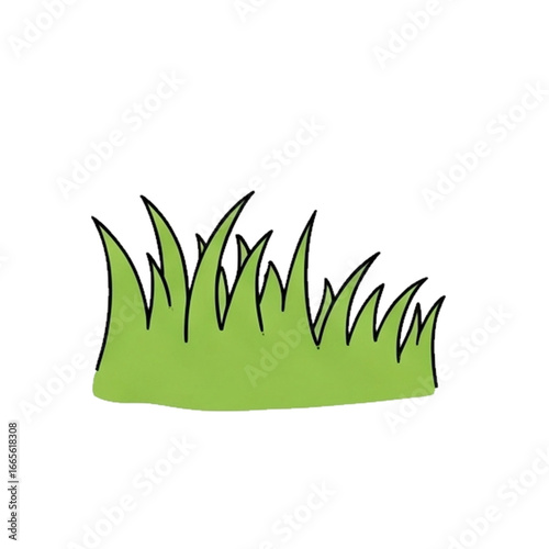 green grass isolated on white background