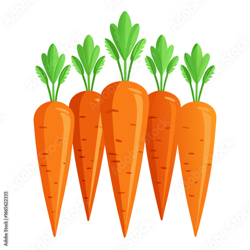 carrots vector illustration