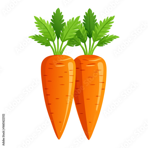 carrots vector illustration