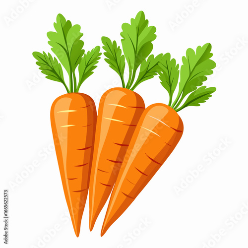 carrots vector illustration