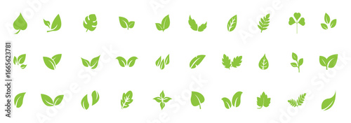 Set Minimalist Green leaf icon symbolizing nature, eco-friendly lifestyle, sustainability, organic products, wellness, and natural growth. Perfect for branding, logos, apps, and eco designs. Eps 10