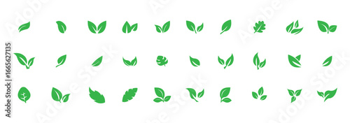 Set Minimalist Green leaf icon symbolizing nature, eco-friendly lifestyle, sustainability, organic products, wellness, and natural growth. Perfect for branding, logos, apps, and eco designs. Eps 10