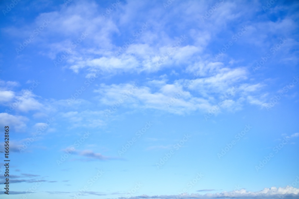Fototapeta premium New Zealand Sky Replacement light clouds 