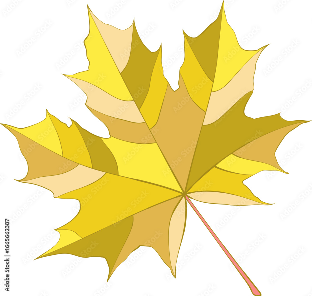 Fototapeta premium Autumn colored gold-yellow maple leaf isolated on white background. Flat and line style vector illustration.