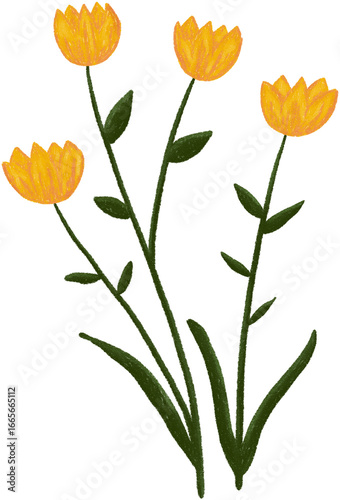 Wallpaper Mural set of yellow flowers Torontodigital.ca