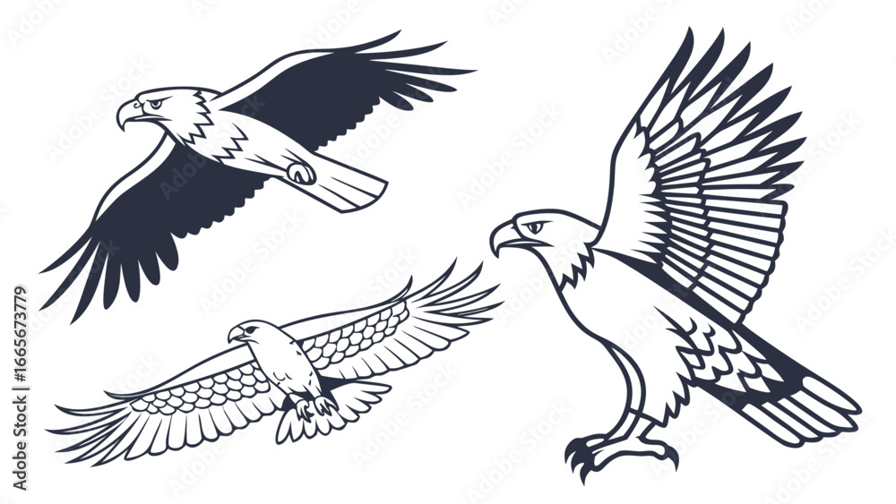 Obraz premium eagle vector illustration