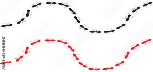 

Ants Marching in a Wavy Line
