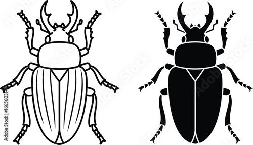 Stag beetle vector illustration insect drawing and silhouette editable