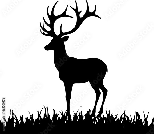Kangaroo with Joey Silhouette Vector Design