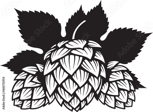 Vector art of black and white illustration of hop cones with leaves