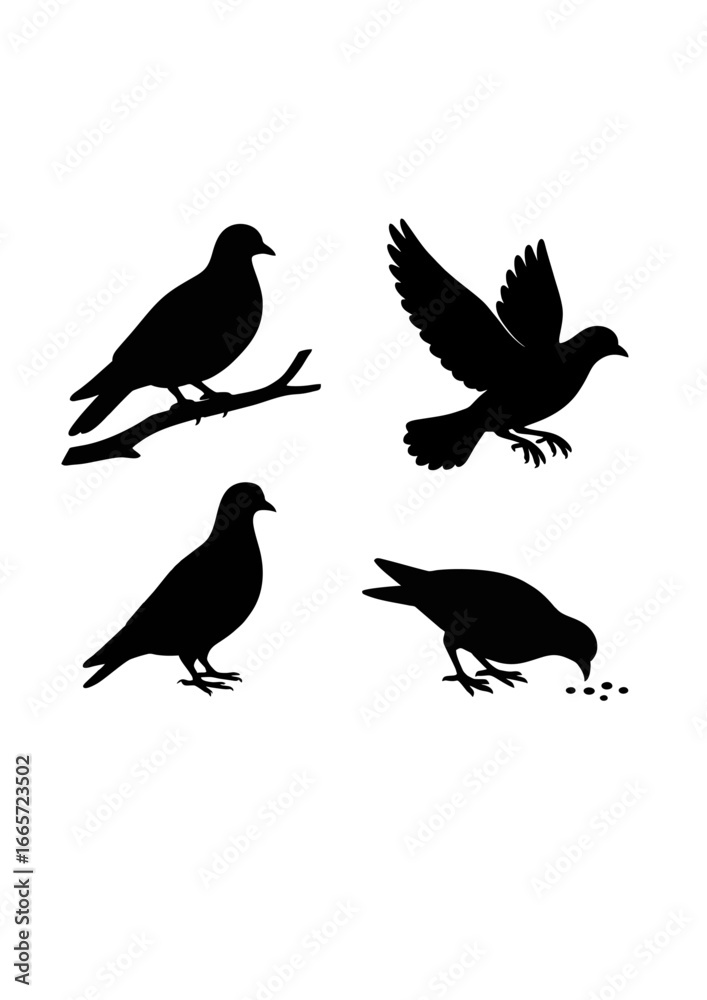 Fototapeta premium Pigeon Silhouette.ai