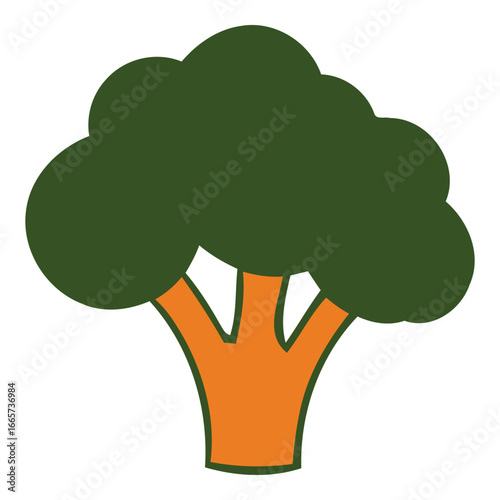 Fresh Broccoli Vegetable Vector Illustration