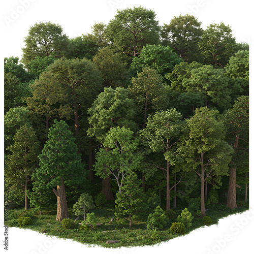 Detailed Forest Illustration With Green Trees And Lush Foliage Isolated
