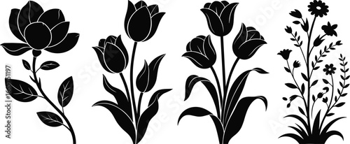 Elegant Tulip Flower Silhouette Illustration on White Background for Design Elements