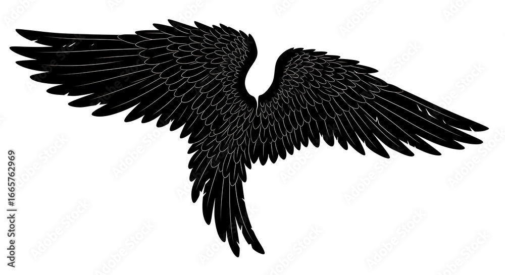 Obraz premium Detailed Black Angel Wings Silhouette Against a Clean White Background
