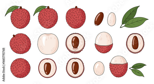 Exotic tropical lychee fruit various stages of preparation and consumption whole peeled and halved arrangements
