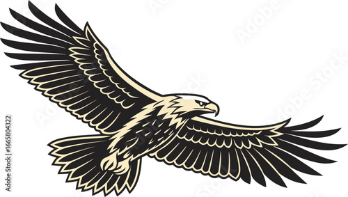 Illustration of an eagle in flight with its wings spread wide against a white background in detail