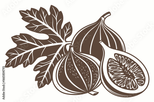 Fig Fruit Drawing