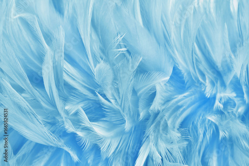 Beautiful light blue bird feathers pattern texture background.