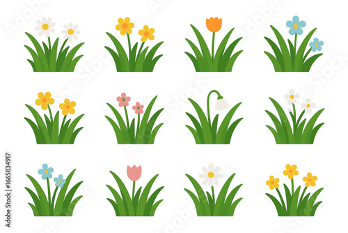 Colorful floral collection of diverse spring flowers in green grass