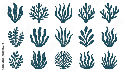 Collection of various seaweed silhouettes on white background