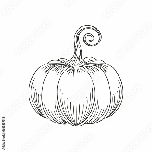 Elegant Line Art Pumpkin A Halloween Illustration