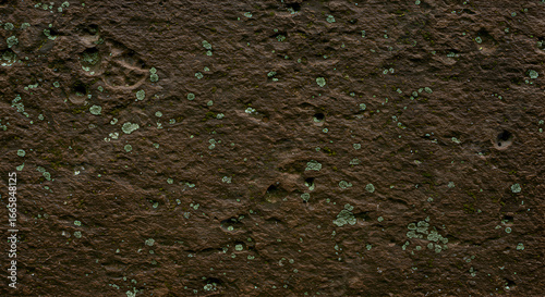 Brown stone surface texture with lichen growth. Detailed close-up view of aged stonework with embedded lichen.