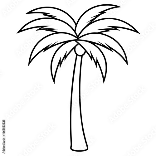 Minimal palm tree line art vector illustration