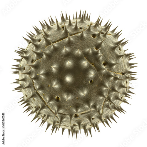 Close up of a spiky pollen grain isolated on transparent background