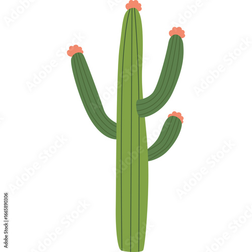 Cactus Tree Illustration