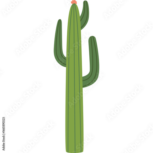 Cactus Tree Illustration