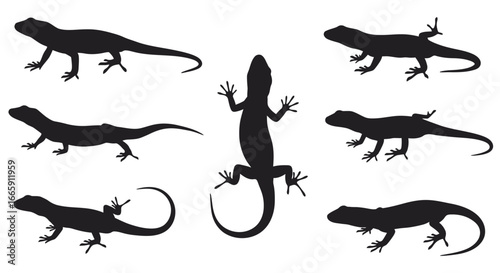 Collection of Lizard Silhouettes on White Background Featuring Various Poses and Angles silhouette