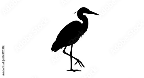 Elegant Heron Standing on One Leg Silhouette