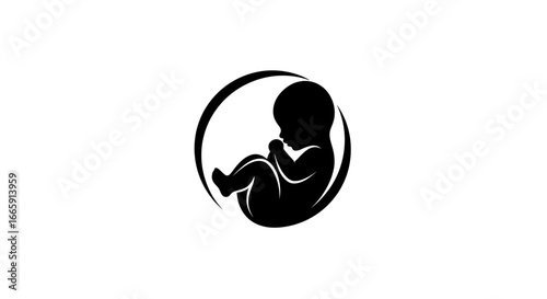 Fetus in Womb Black Silhouette Graphic Illustration on White Background silhouette