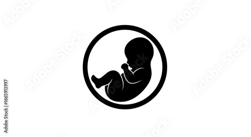 Fetus in Womb Black and White Silhouette