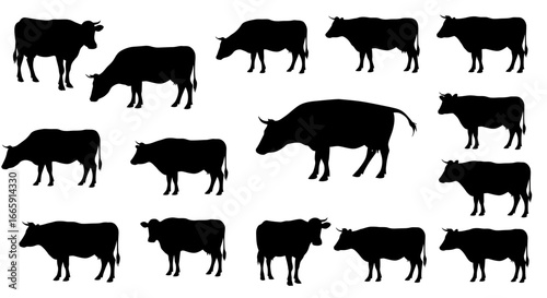 Collection of Cows in Black Silhouette Style on White Background silhouette