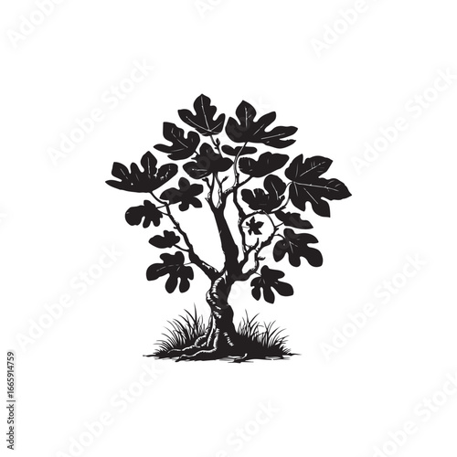 Natural Fig Tree Vector Design.