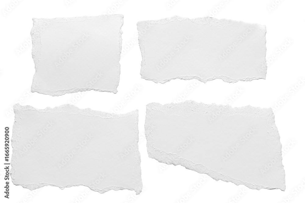Obraz premium ripped element set of torn paper edges isolated with clipping path on background. torn paper texture, ripped of paper designs and jagged paper edges create a raw, artistic look