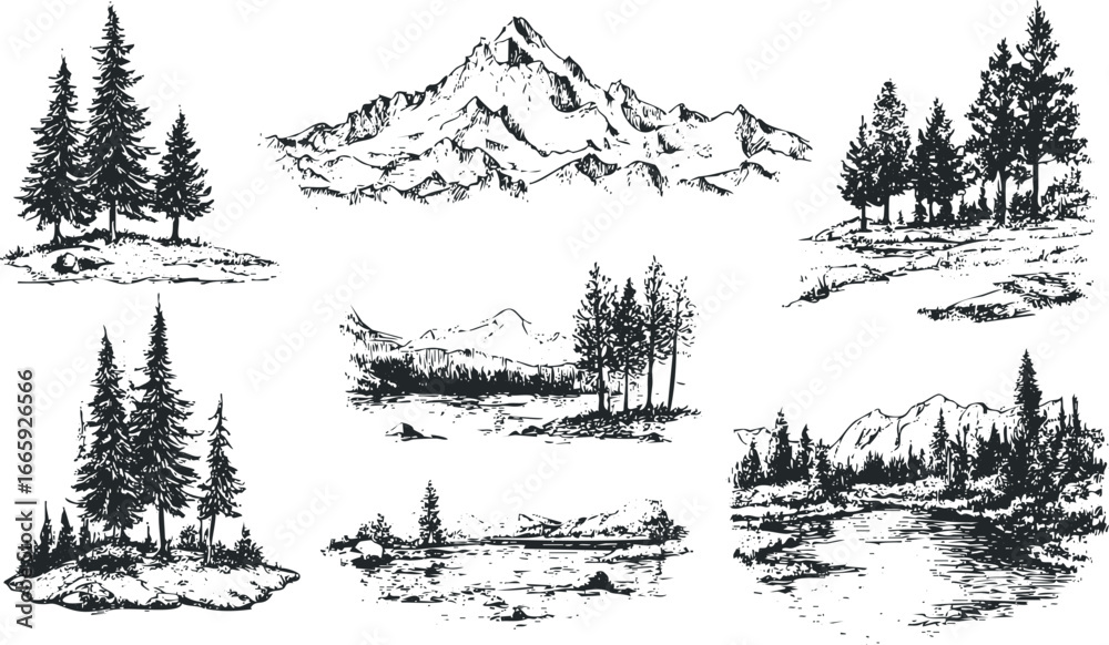 Fototapeta premium Hand-drawn sketches of coniferous forests, mountains, and serene water scenes