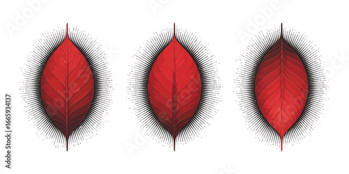 Autumnal Leaf Trio A Collection of Vector Red Leaves