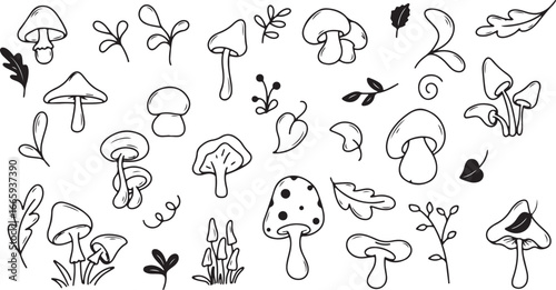 Mushroom and Nature Doodle Set – Forest, Fungi, Plants, Leaves, Cute, Cartoon, Outline, Sketch, Organic, Handcrafted, Minimal, Illustration, Nature, Decorative, Botanical, Drawing, Simple, Collection