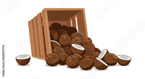 Vector illustration of a wooden crate filled with ripe coconuts spilling out onto a white surface