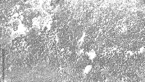 Abstract grunge texture with distressed concrete-like surface in monochrome grayscale tones. Design rough, weathered, and uneven speckled patterns. Worn stone, peeling paint, or eroded wall surfaces.