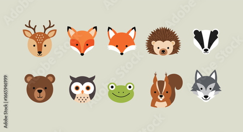 Adorable forest animals collection featuring deer fox hedgehog badger bear owl frog squirrel wolf
