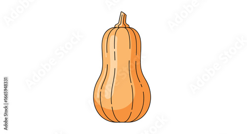 A realistic illustration of a ripe butternut squash with organic grooves and texture