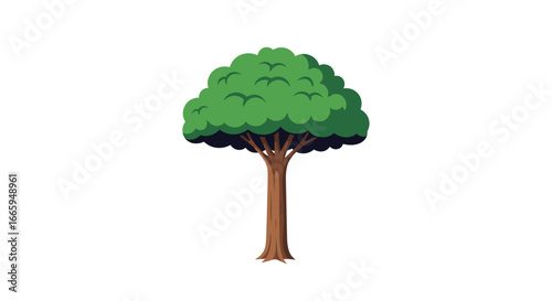 A lush green deciduous tree stands tall with a strong brown trunk and a full rounded canopy of vibrant leaves on a clear white background