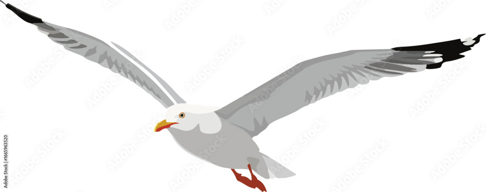 Fototapeta premium Web