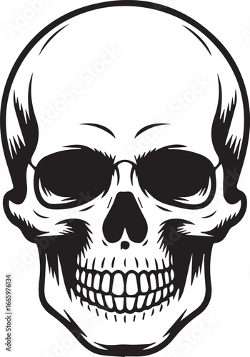 Black and white human skull with detailed teeth and eye sockets skeleton death